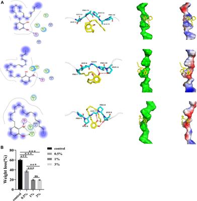 Effect of etchant containing an Urushiol monomer from lacquer sap on dentin biostability and bonding performance